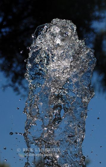 Splash